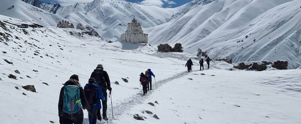 Search for Snow Leopards with Valerie Parkinson