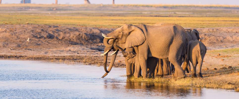 Botswana & Zimbabwe Lodge Safari