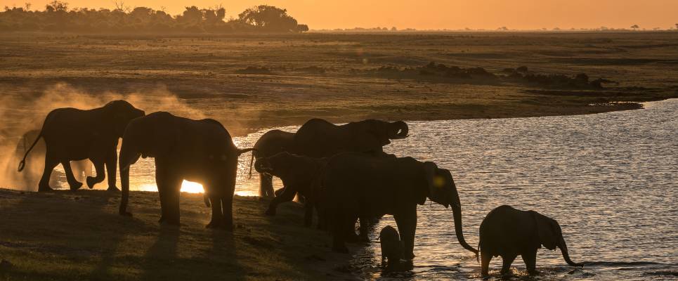Wildlife & Wilderness of Botswana