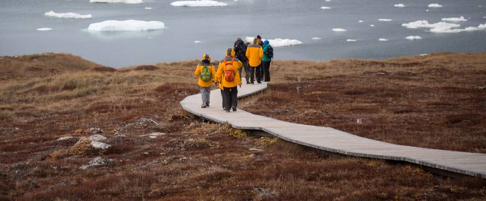 Greenland to Newfoundland: Mountains, Wildlife and Viking History