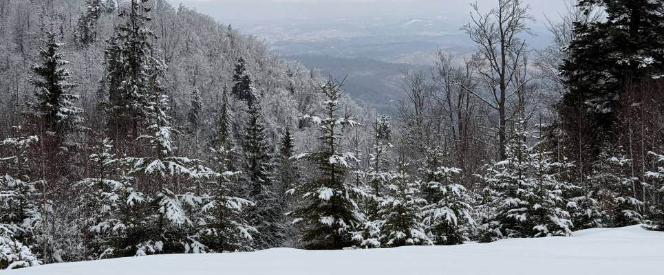 Transylvania Winter Walk & Snowshoe