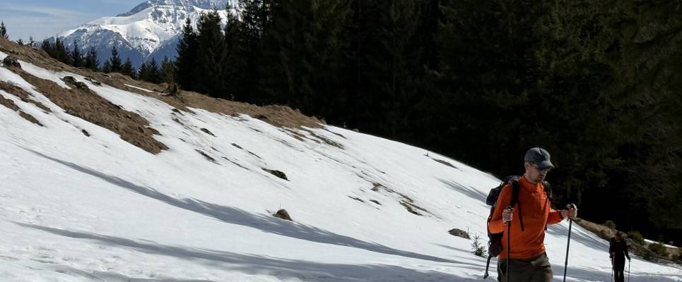 Transylvania Winter Walk & Snowshoe