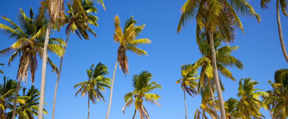 Kenya & Tanzania Adventure