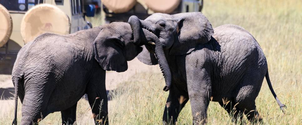 Kenya & Tanzania Adventure