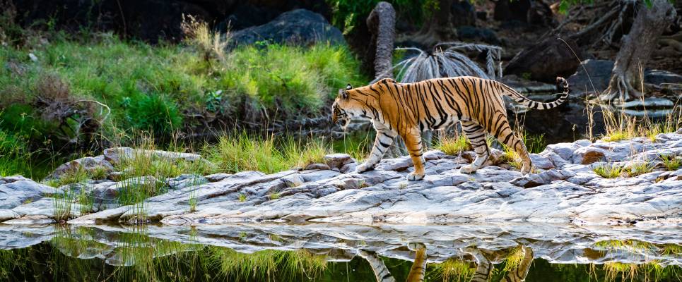 Rajasthan Highlights by Bike