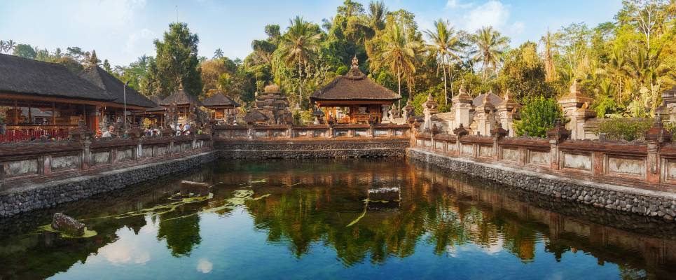 Primates & Dragons of Indonesia