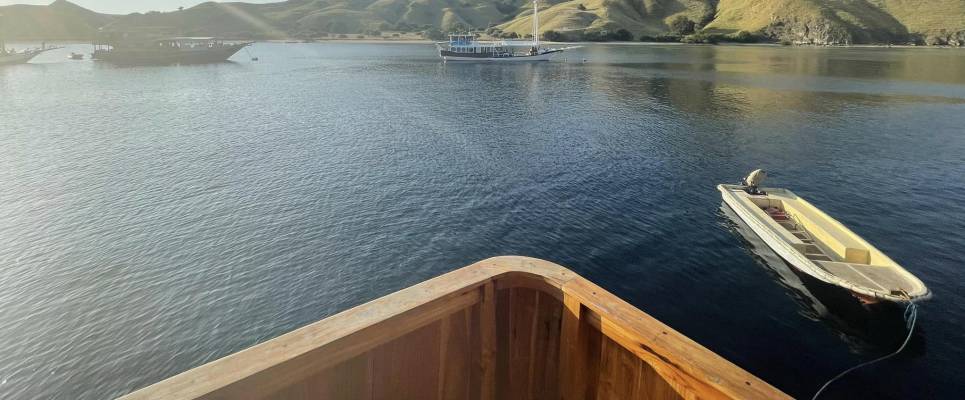 Primates & Dragons of Indonesia