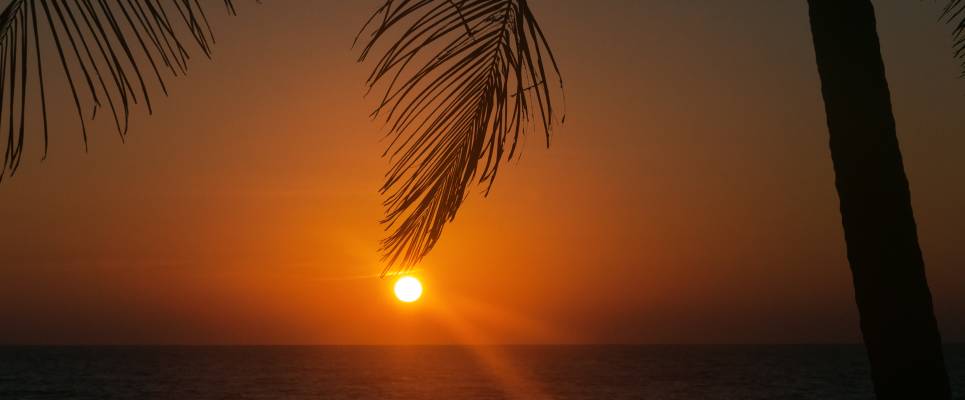 Cycle the Coast of Kerala
