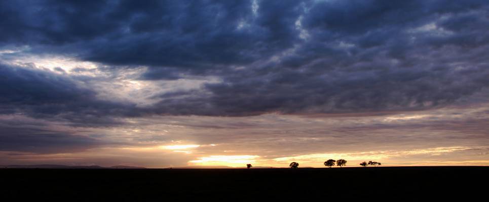 Gorillas & Masai Mara – Camping