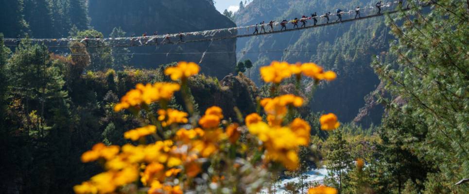 Everest Treks in Comfort