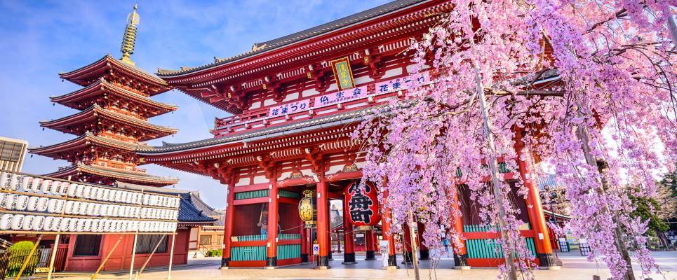 Ancient & Modern Japan