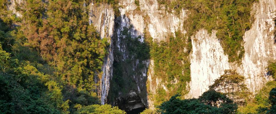 Borneo Wildlife Discoverer