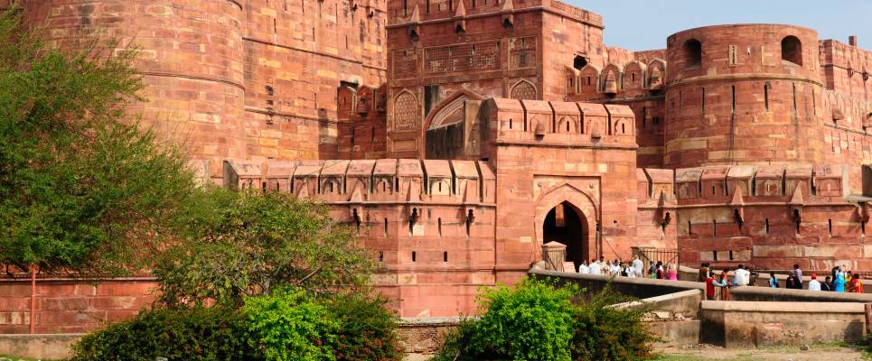 Search for Snow Leopards with Valerie Parkinson