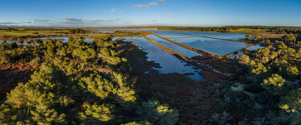 Campos Salt production Lagoons