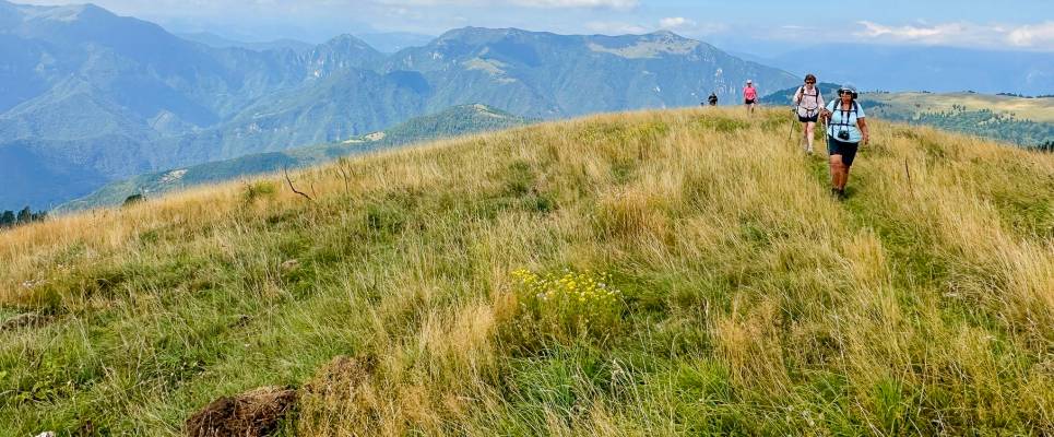 Walk The Prosecco Hills & Hidden Venice