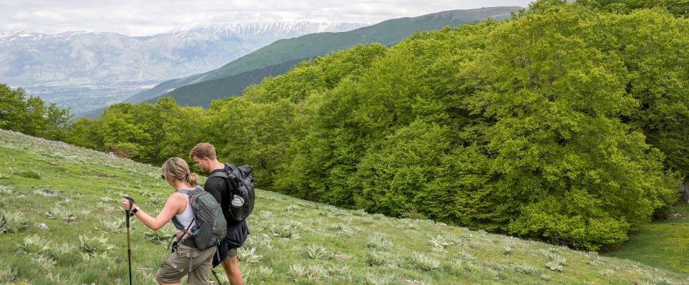 Italian Apennines: Walks & Wildlife
