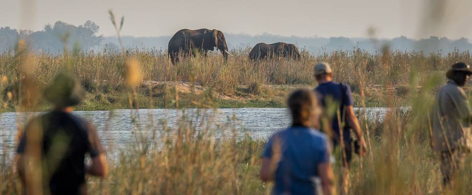 Zambezi Canoe Safari