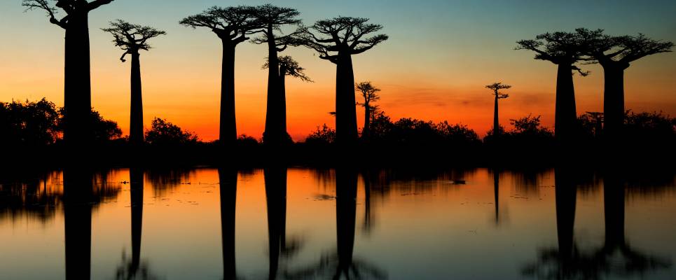 Madagascar Wildlife Adventure