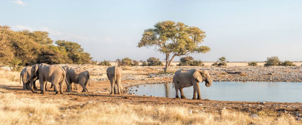 Discover Namibia – Premium Adventure