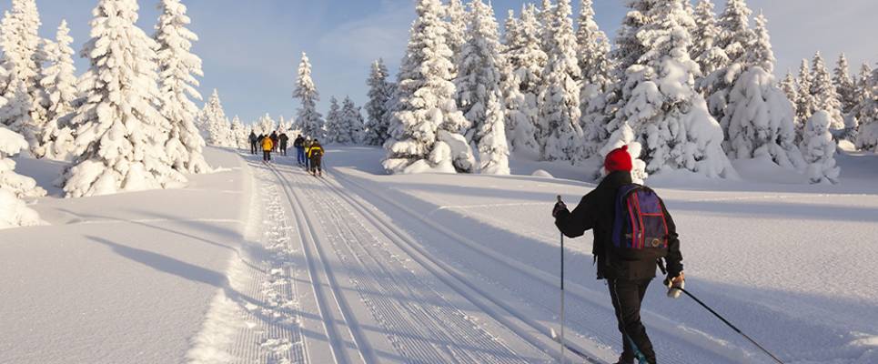 Cross-Country Skiing in Skåbu, Norway