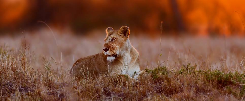 Kenya & Tanzania Adventure