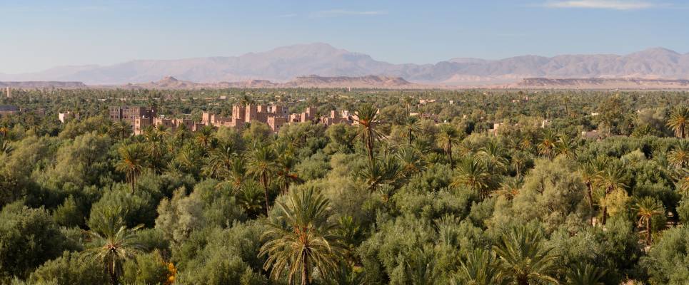 Treasures of Morocco – Premium Adventure
