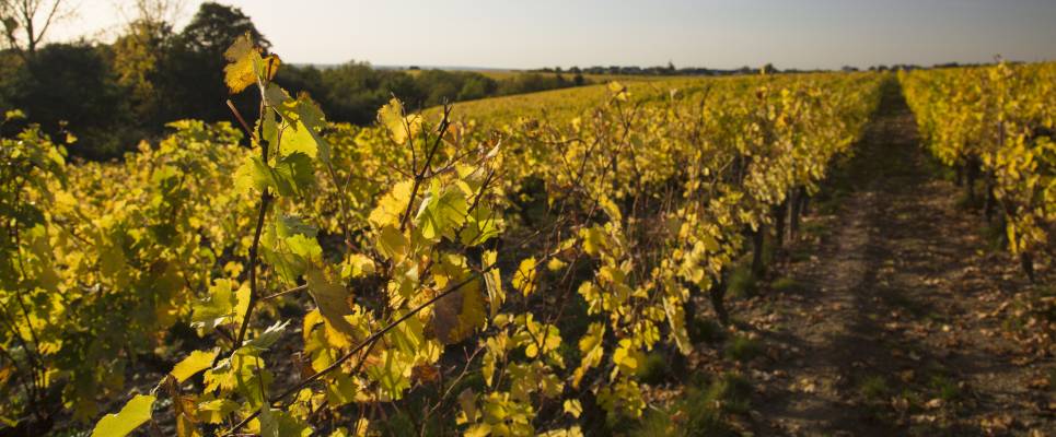 Vouvray