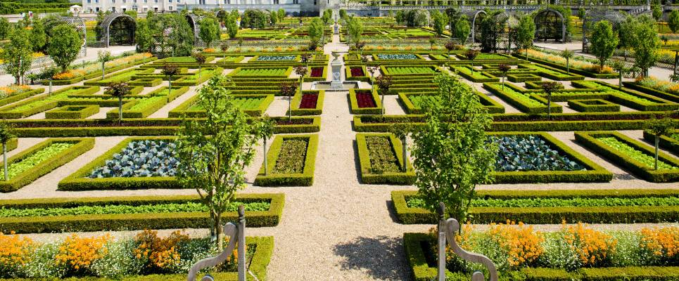 Loire Valley: Walks, Wine & Chateaux