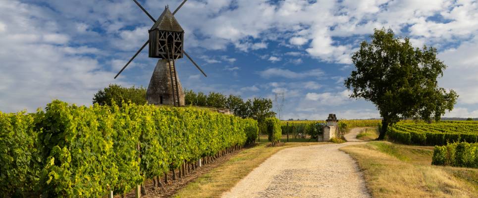 Cycle the Loire Valley
