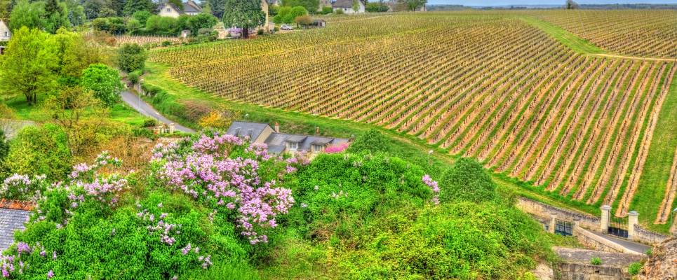 Cycle the Loire Valley