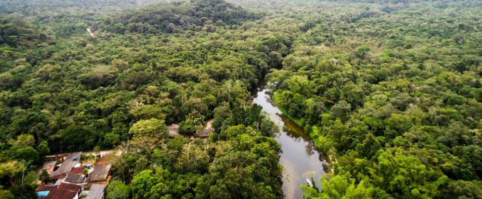 Amazon Rainforest Add-on (post-tour, from Lima)