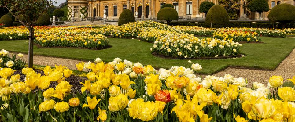 Cambridge to Oxford: WWII & Colleges – Private Group Adventure