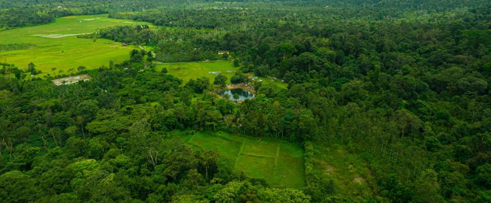 Discover South India – Premium Adventure