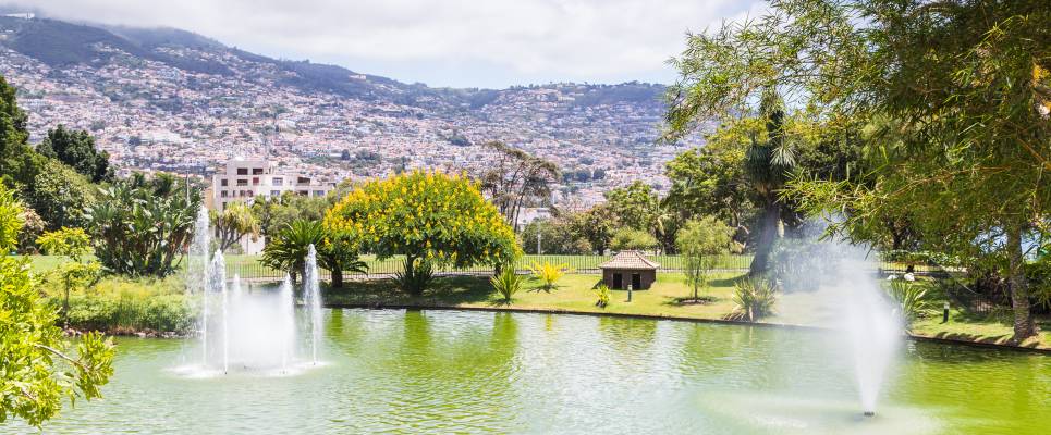 Madeira Discovery – Premium Adventure