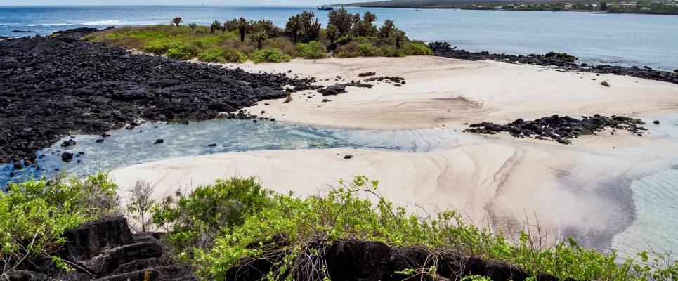 Highlights of Ecuador & the Galapagos