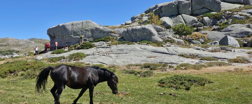 Trek the GR20 of Corsica