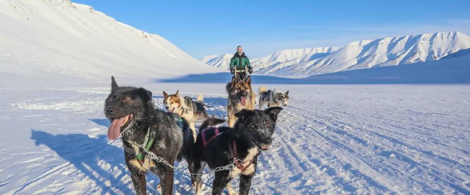 Svalbard Arctic Adventure – Sunny Winter