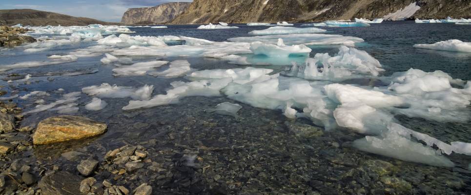 Greenland to Newfoundland: Mountains, Wildlife and Viking History