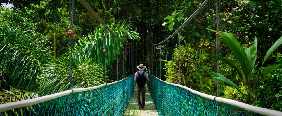 Signature Costa Rica | Where the Wild Answers