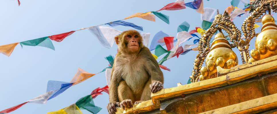 Everest Treks in Comfort