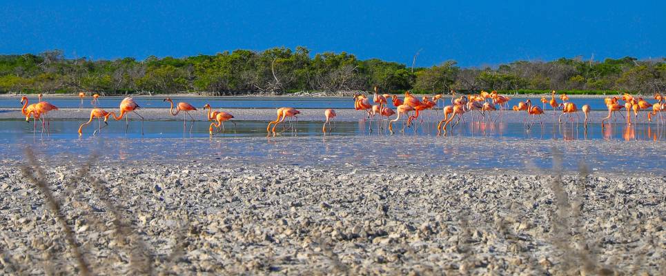 Mexico’s Yucatán Adventure