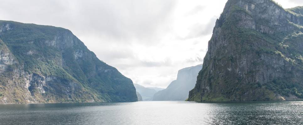 Greenland to Newfoundland: Mountains, Wildlife and Viking History