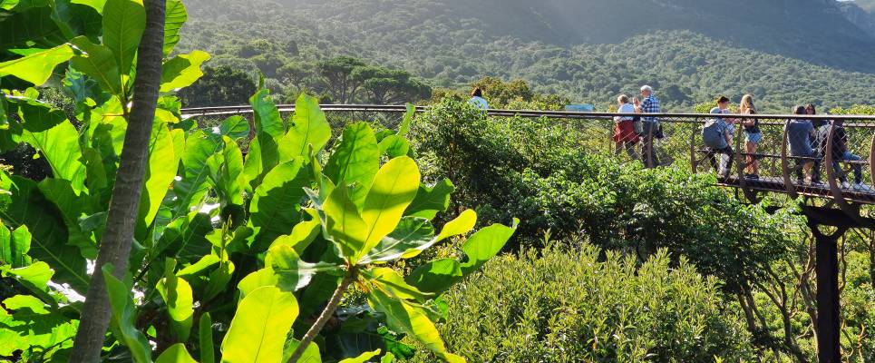 Best of the Garden Route – Premium Adventure