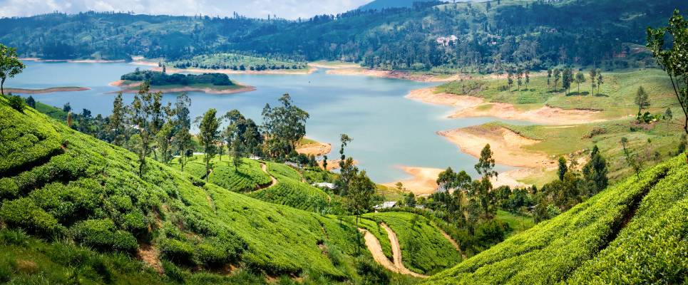 Best of Sri Lanka – Family Adventure