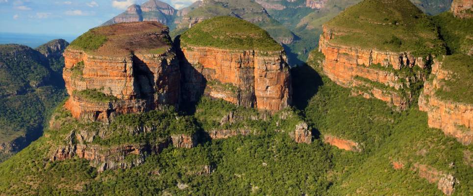 Essential Kruger Safari