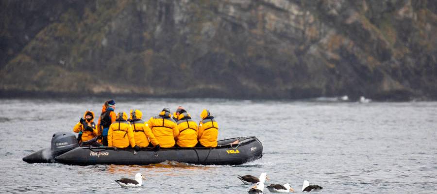 Penguins of the Far South: Falklands, South Georgia & Antarctica