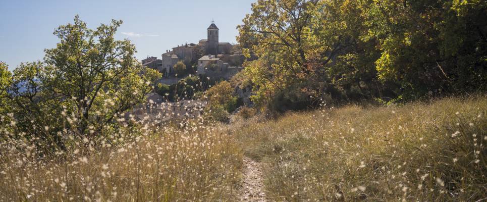 Discover Provence