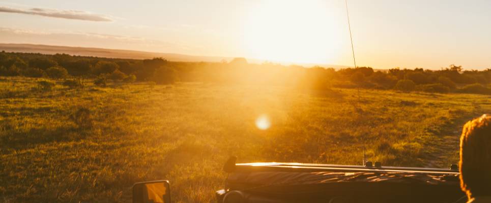 Essential Kruger Safari