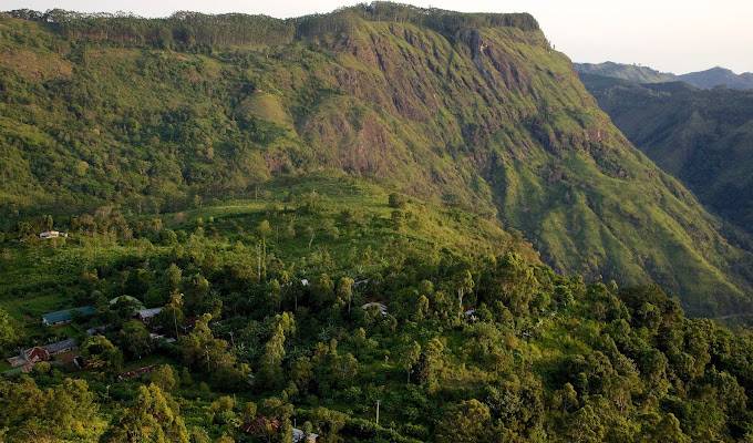 Amba Estate
