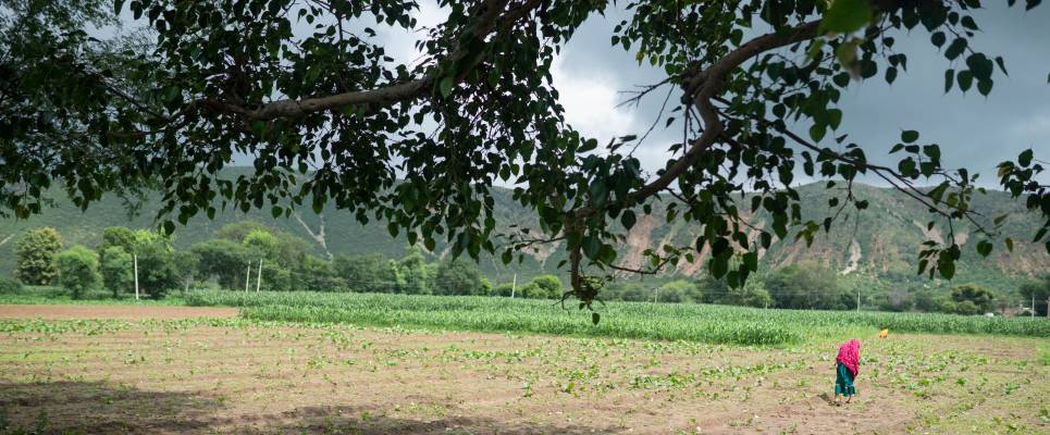 Rajasthan Highlights by Bike